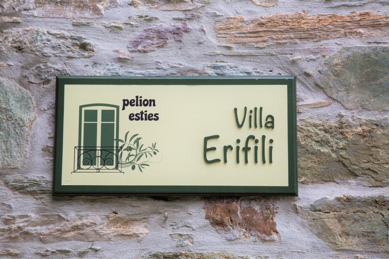 Villa Erifili By Pelion Esties Agios Georgios Nileias Exterior foto